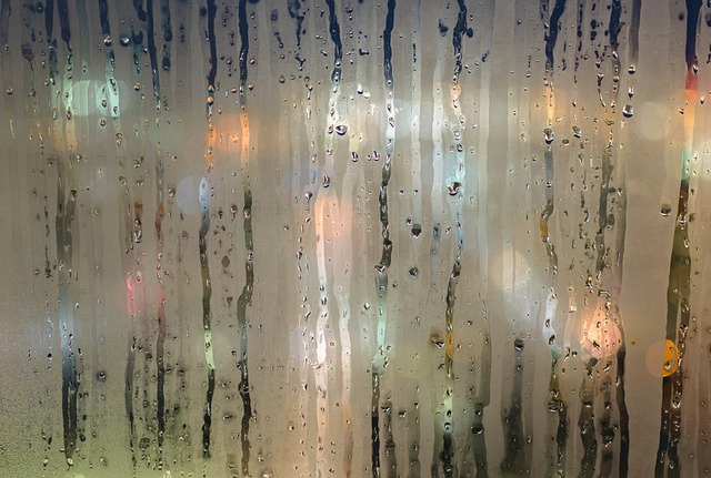 Condensation on glass.jpg