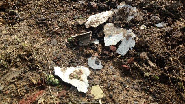 Asbestos on a brownfield site.jpg