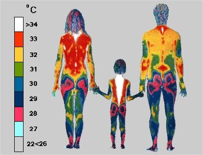 Gender difference human body thermograph.jpg