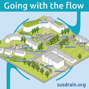 Going with the flow web image.jpg