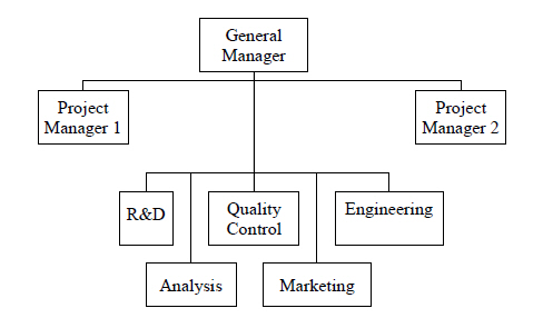Modified project organisation structure.jpg