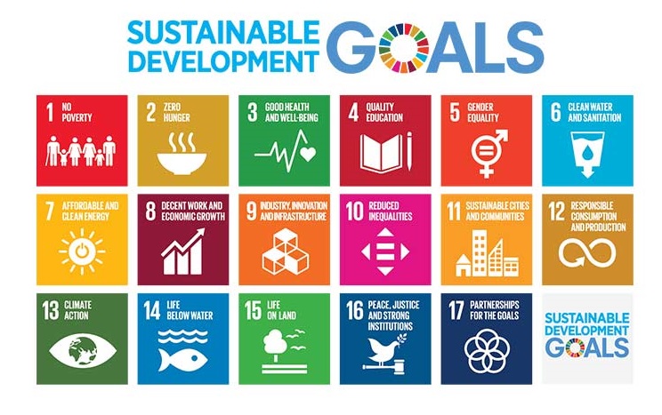 Sustainable-goals.jpg