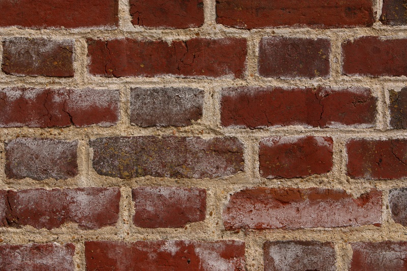 Brick wall 2.jpg