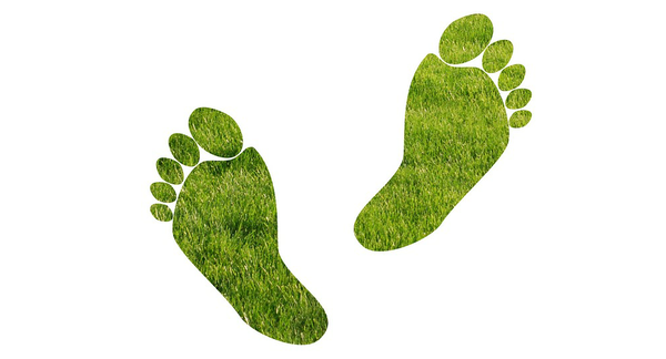 Carbon footprint.png