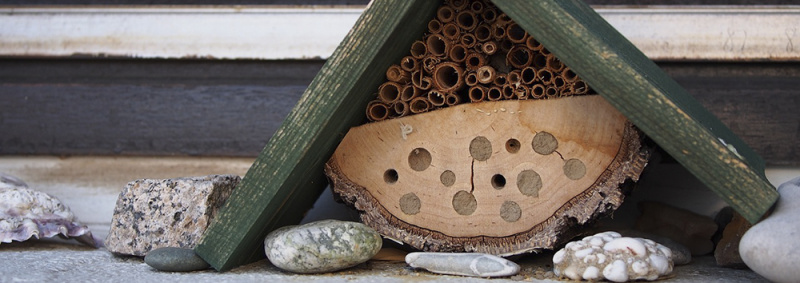 File:Insect-hotel-2216564 1000.jpg