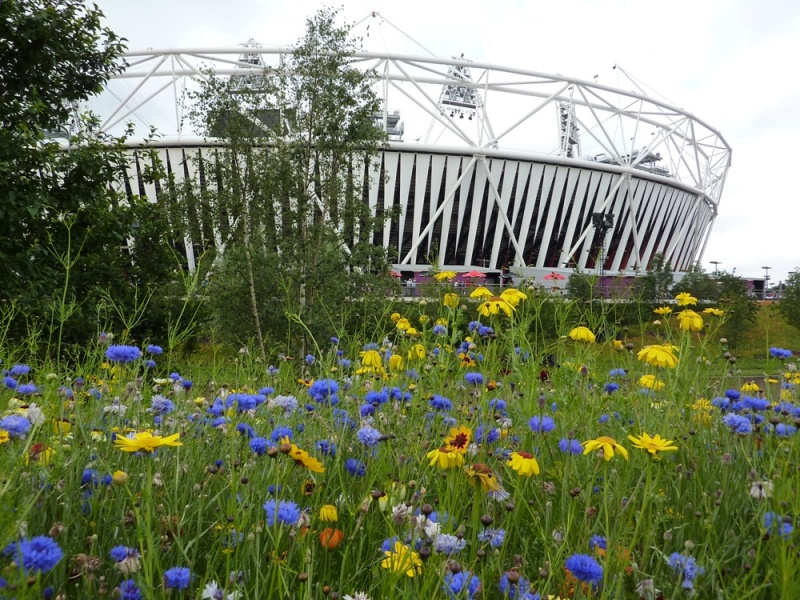 File:London 2012 Olympic park landscape image 3.JPG