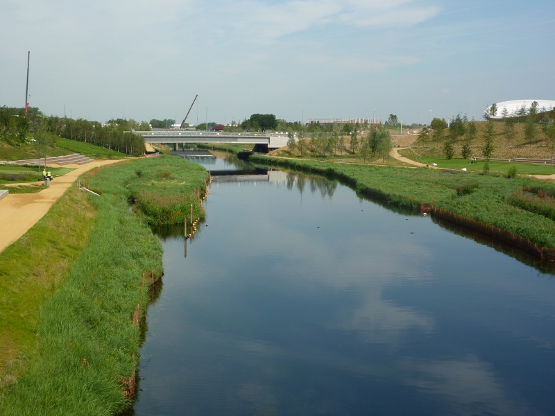 File:Reedbeds on the Olympic Park.JPG
