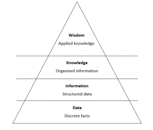 Knowledge pyramid.jpg