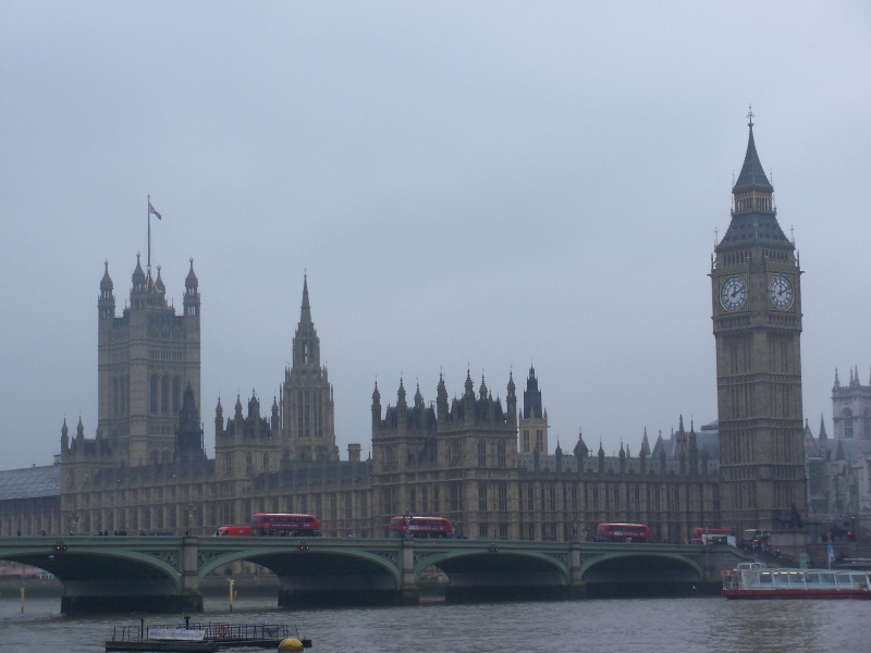 File:The Palace Of Westminster.JPG