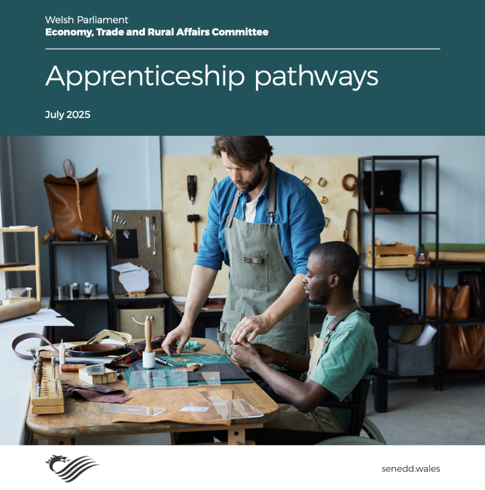 Apprenticeship pathways cover edited sq Senad 1000.jpg