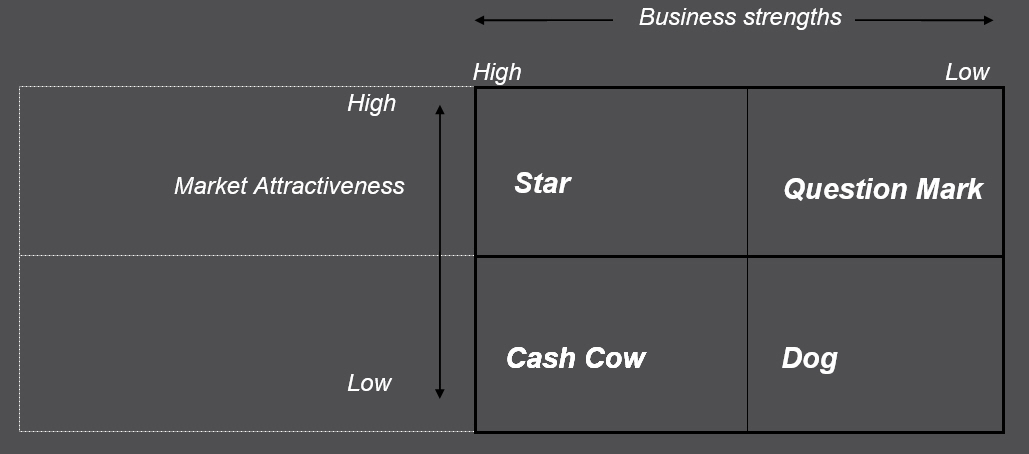 Markeintg portfolio analysis labels.jpg