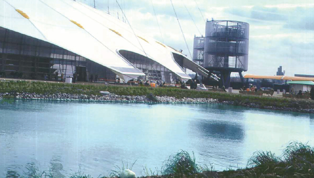 Reedbeds at the millennium dome.jpg