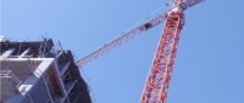 Crane cropped 350.jpg