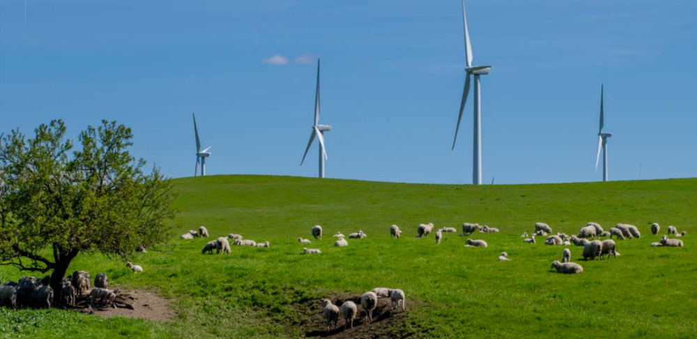 AT J 154 Carbon budget 1 Jack Fleming 1000.jpg