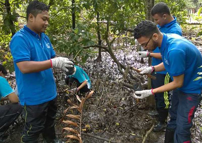 Planting-trees.jpg