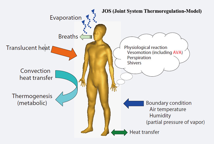 Human body cooling.jpg