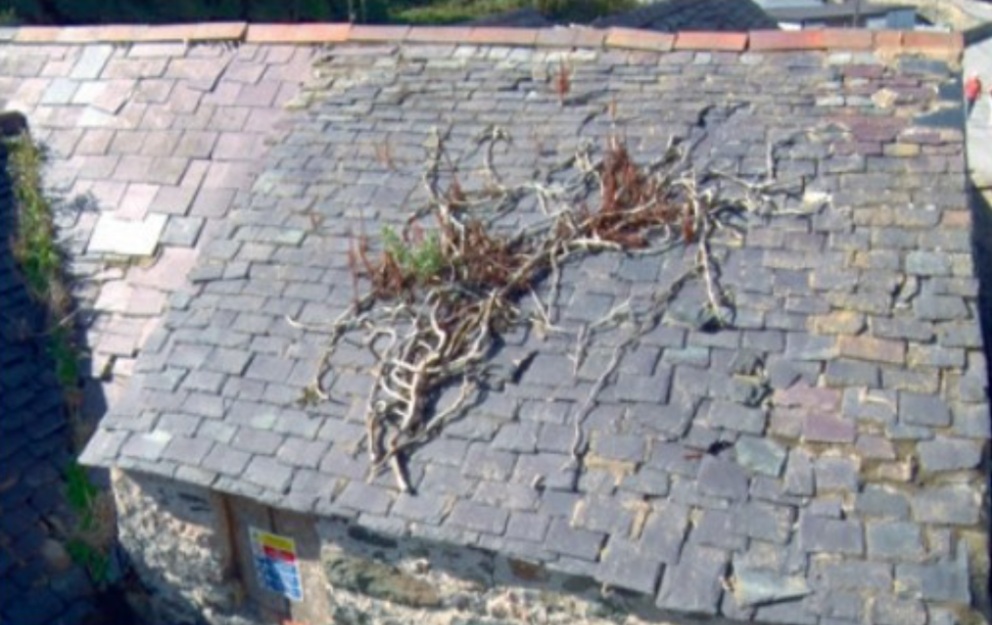 Reslating an ancient water mill 4.jpg