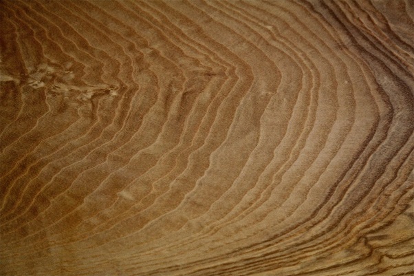 Wood ash.jpg