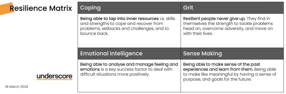 APM personal resilience matrix in PM 1000.jpg