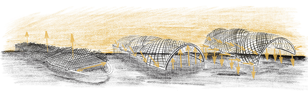 Gridshell Sketches sml.jpg