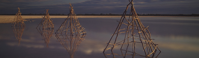 Indigenous Shelter 800.jpg