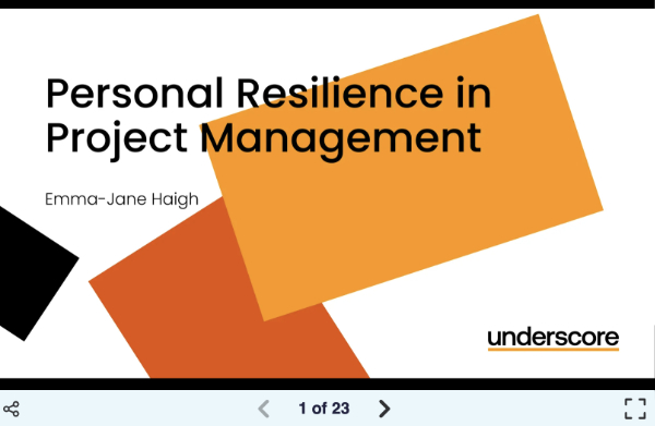 APM personal resilience in PM slide 600.jpg