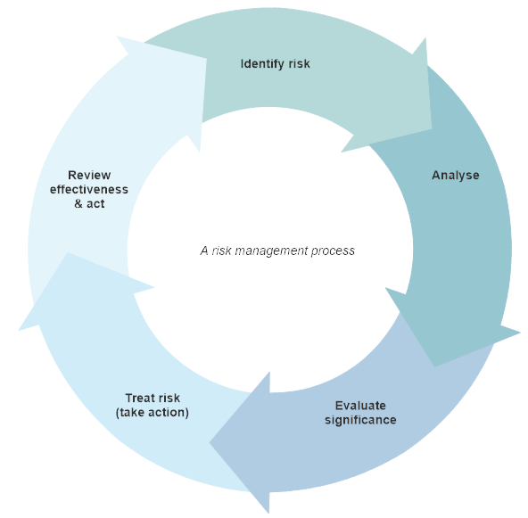 086 Fig 1 Risk Management Process.png