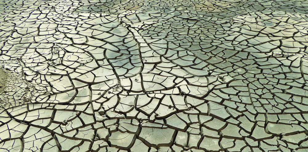Dryn mud veronoi 1000.jpg