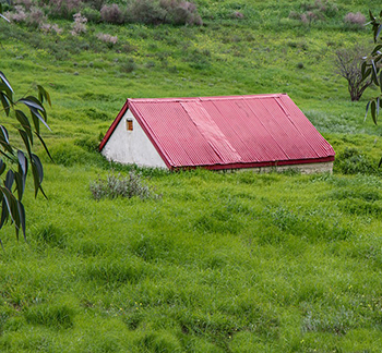 House in grass, biophillic 350.jpg