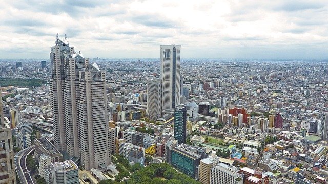 Tokyo: The Last Megalopolis - Wikipedia