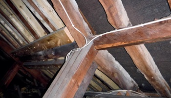 File:A fractured principal rafter 350.jpg