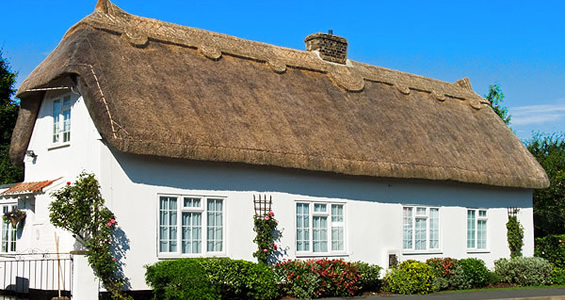 Thatchroof.jpg