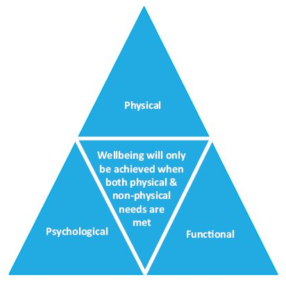 Wellbeingtriangle.png