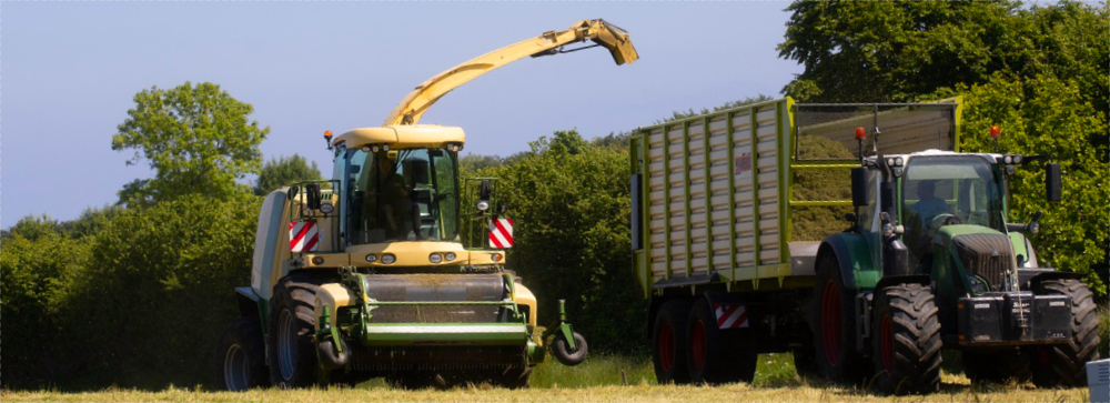 Farming 261361 1000.jpg