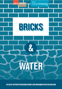 Bricks and water.png