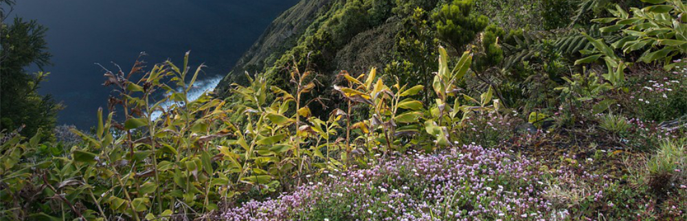 Biodiversity hillside water 1000.jpg