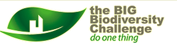 BIG Biodiversity challenge ciria.jpg