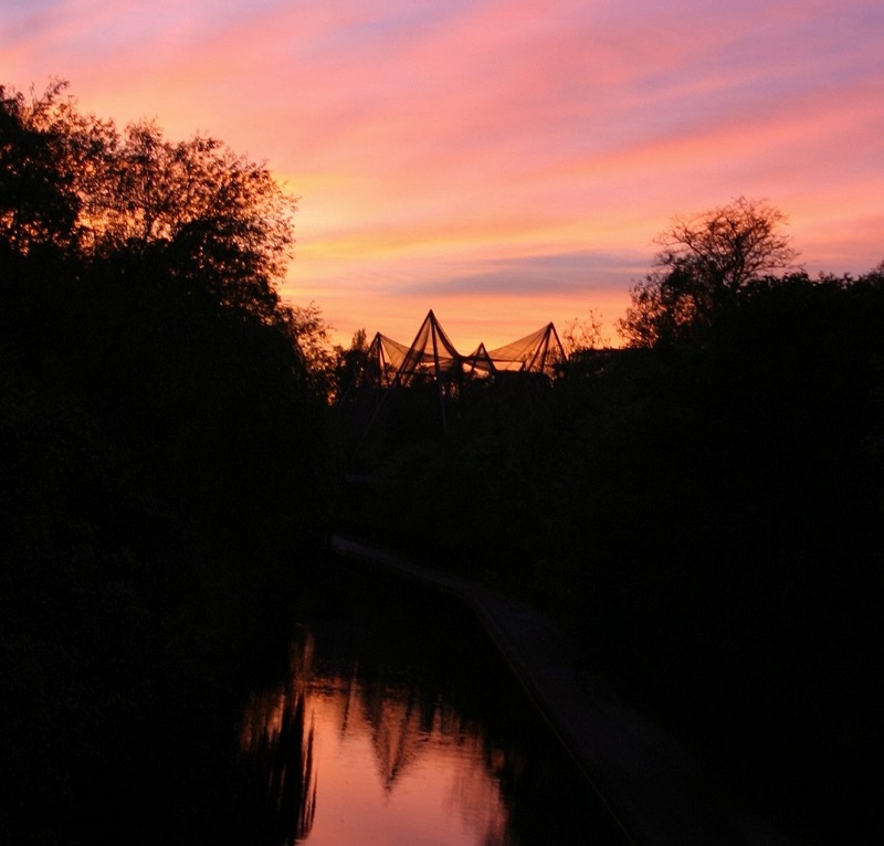 Snowdon Aviary (c) Daniel SprawsonZSL (9).jpg