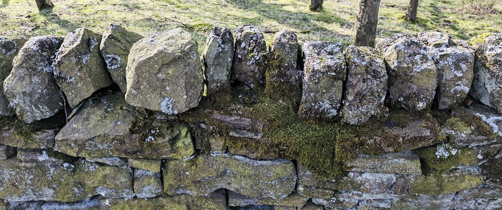 Drystone-Wall-Derbyshire-Uk-Stones-2643480 1000.jpg