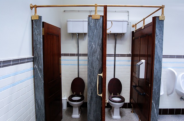 Flush toilets .jpg