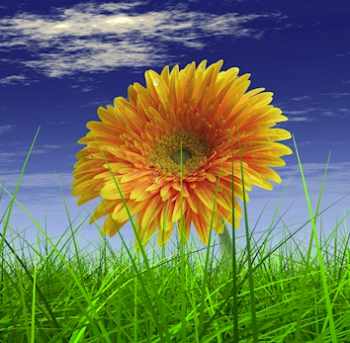 File:Air Quality Hub Flower BSRIA 350.jpg