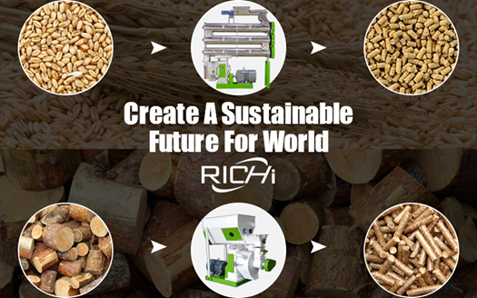 Biomass fuel pellet.jpg