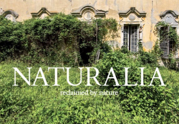 Naturalia1.jpg