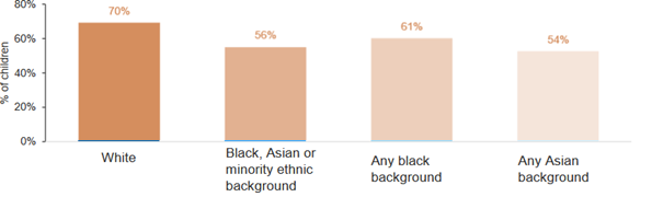 Ethnicity chart.png
