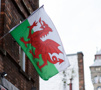 ECA Welsh flag 350.jpg