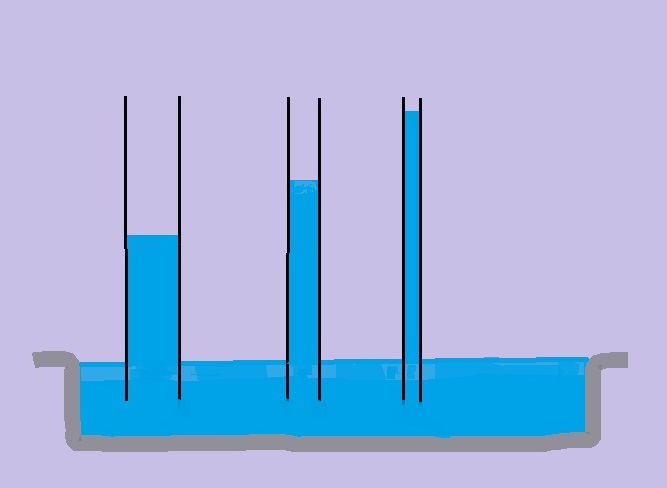 Capillary action.jpg