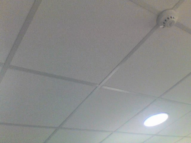 SuspendedCeiling.Tiles.jpg