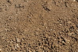 Silt.jpg
