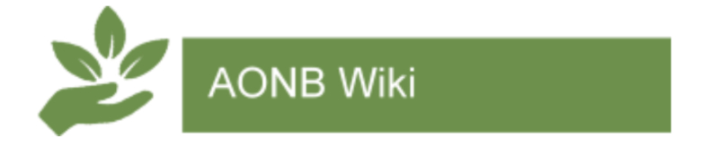 File:AONB construction wiki 800.jpg