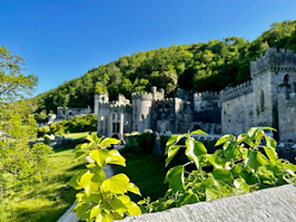 Gwrych-Castle-NHMF-website-080923.png